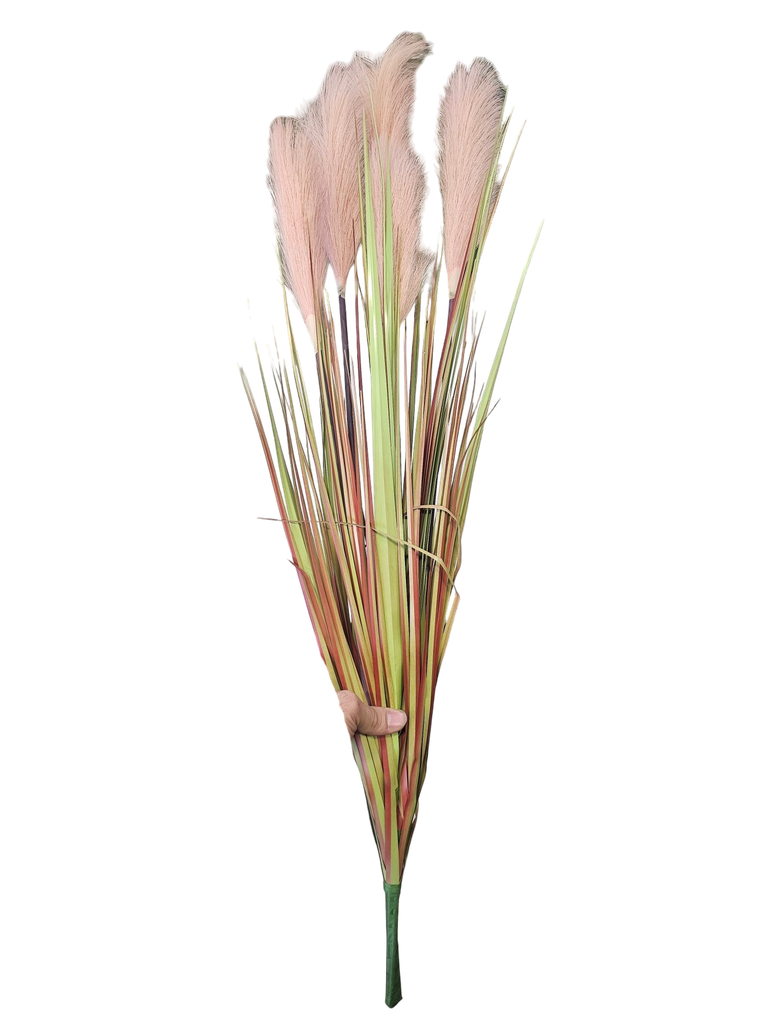 عشب بامباس