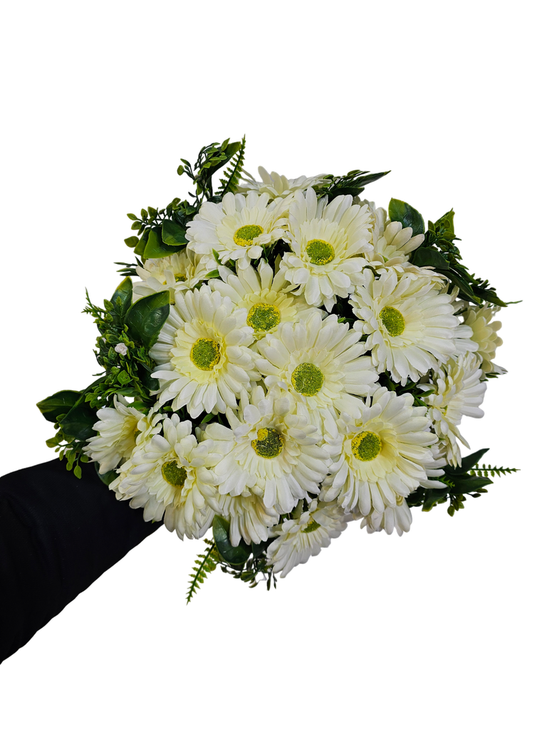 گوڵەبەڕۆژەی سپی