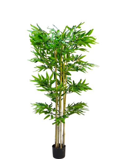 bamboo 150 cm