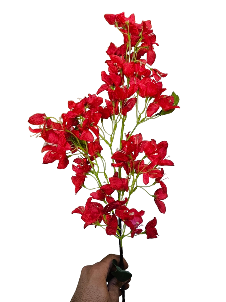 بۆگەنڤێلیا