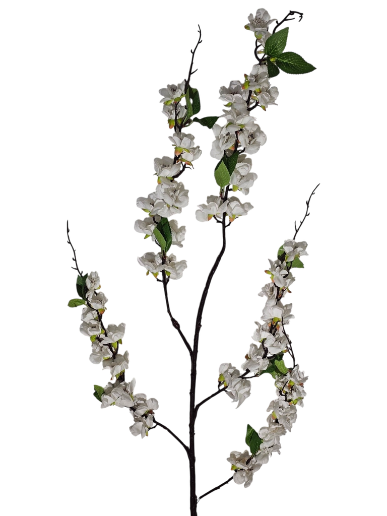white flower branch 