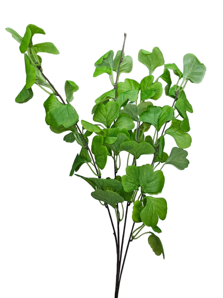 فروع الأوراق