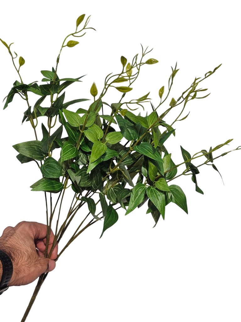 foliage branches