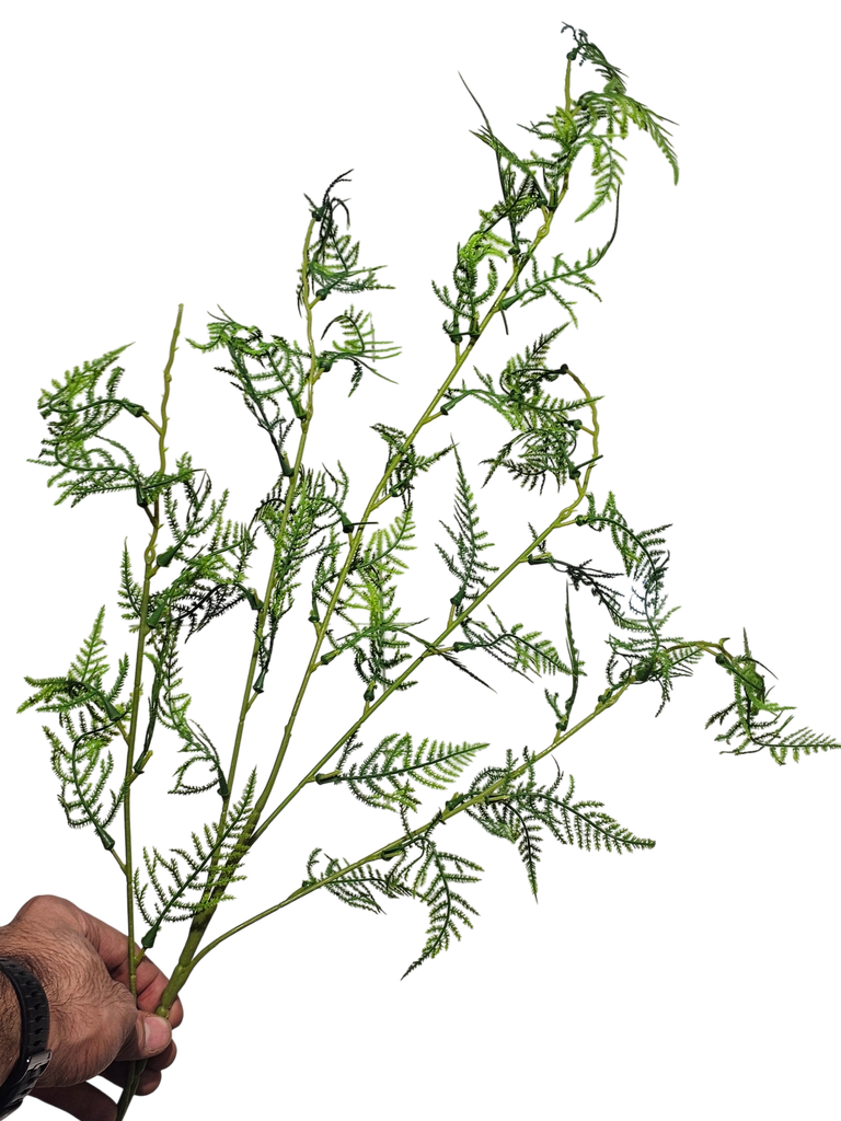 foliage branches