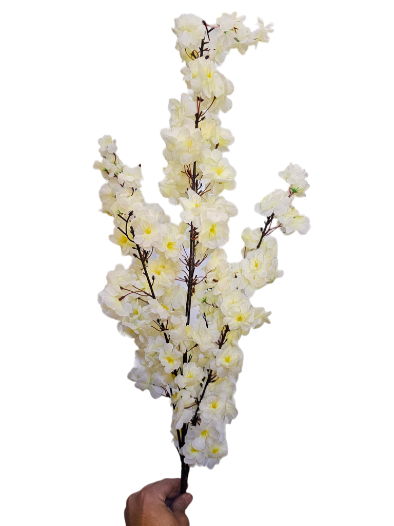 white cherry blossom branch