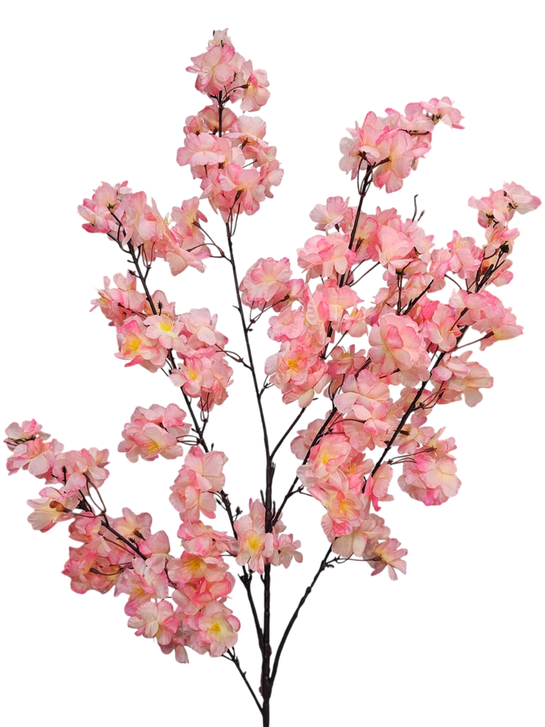 pink cherry blossom branch