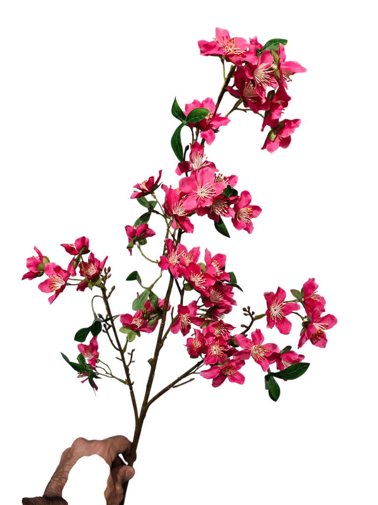 burgundy flower branch