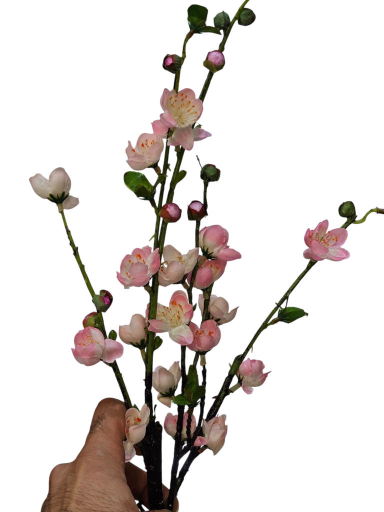 pink flowers