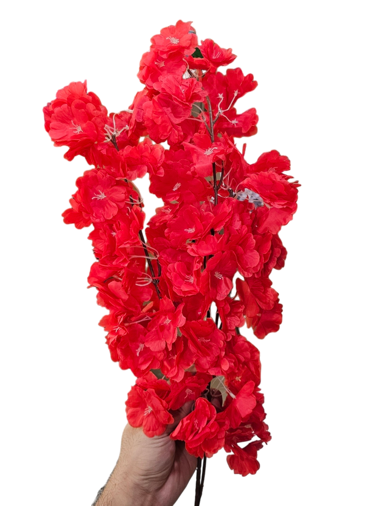 ذيل الثعلب الأحمر