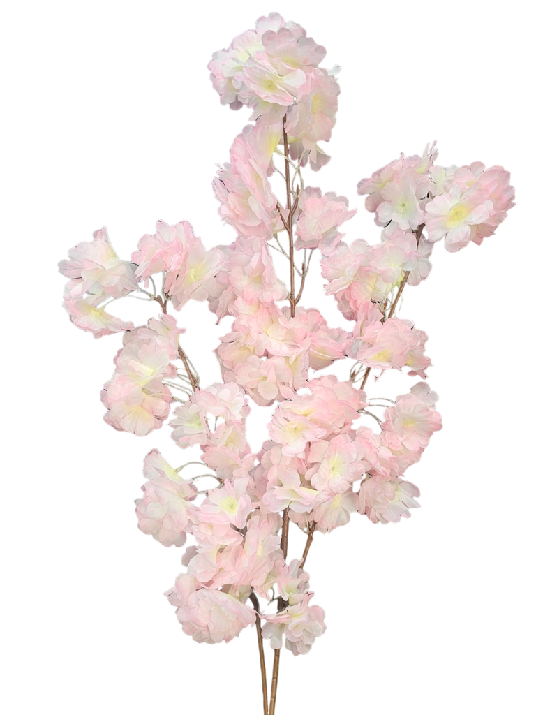 pink foxtail