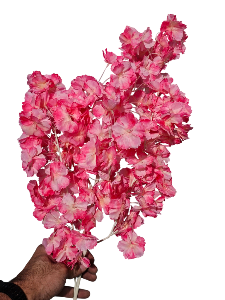 ذيل الثعلب الوردي