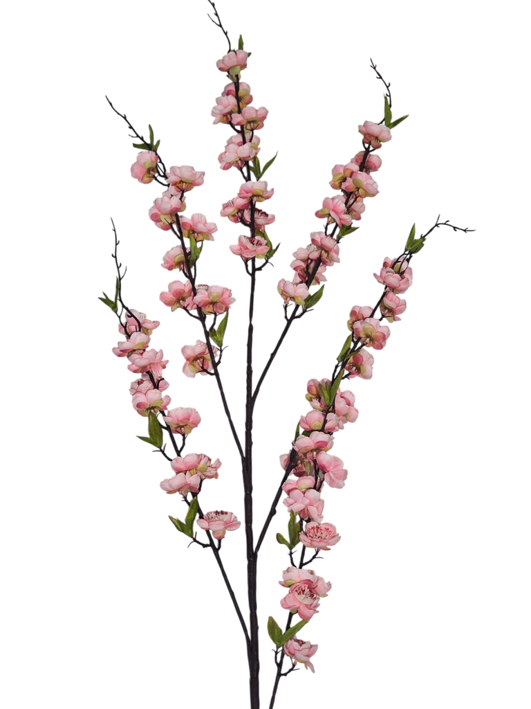 pink flower branch