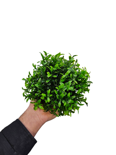 Little Green Ball