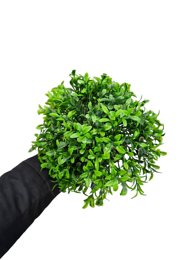 تۆپی سەوز لە ناوەڕاستدا.