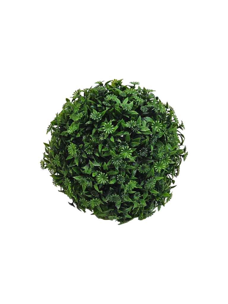 تۆپی سەوز لە ناوەڕاستدا.