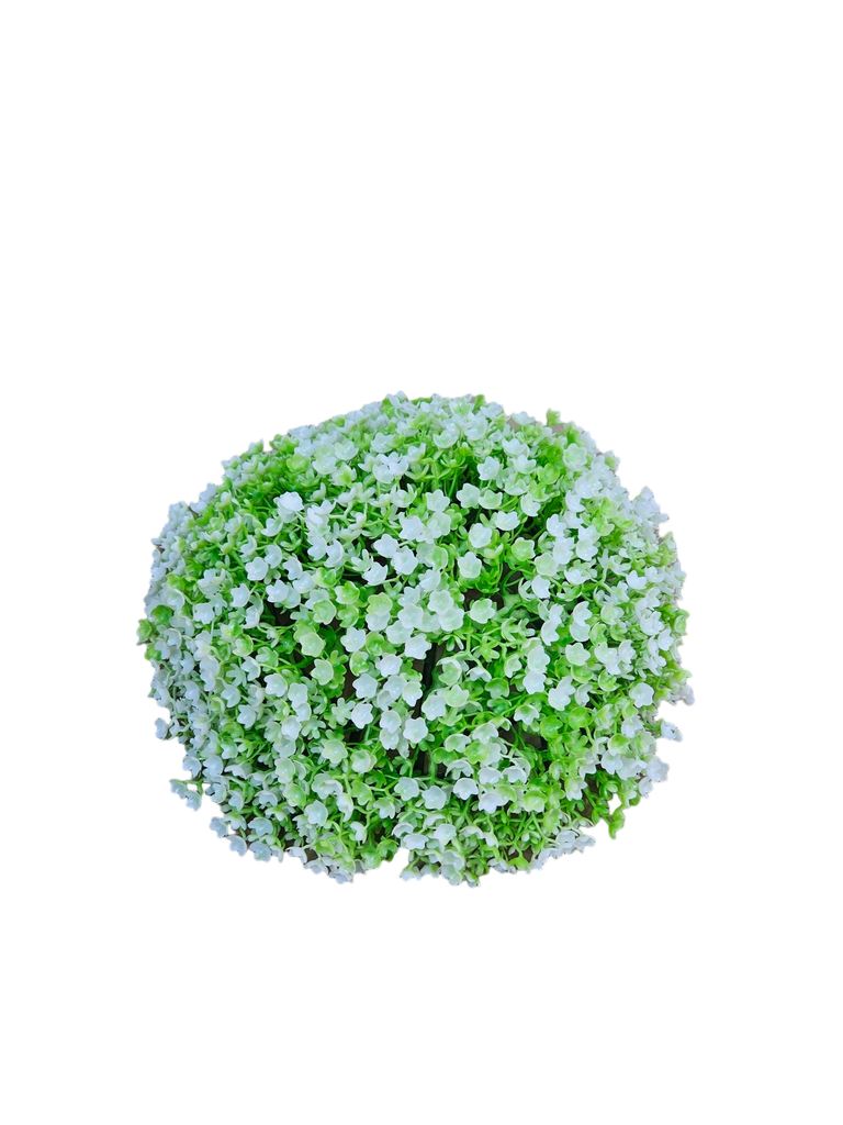 تۆپی سەوزی گەورە