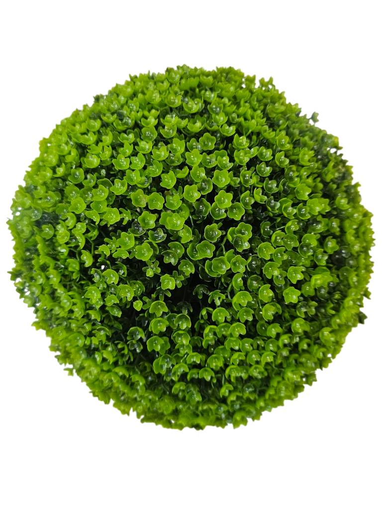 تۆپی سەوز گەورەترینیانە