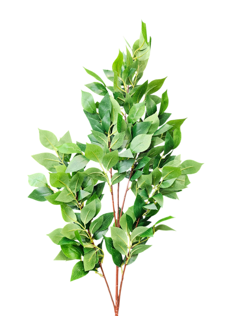 foliage branches