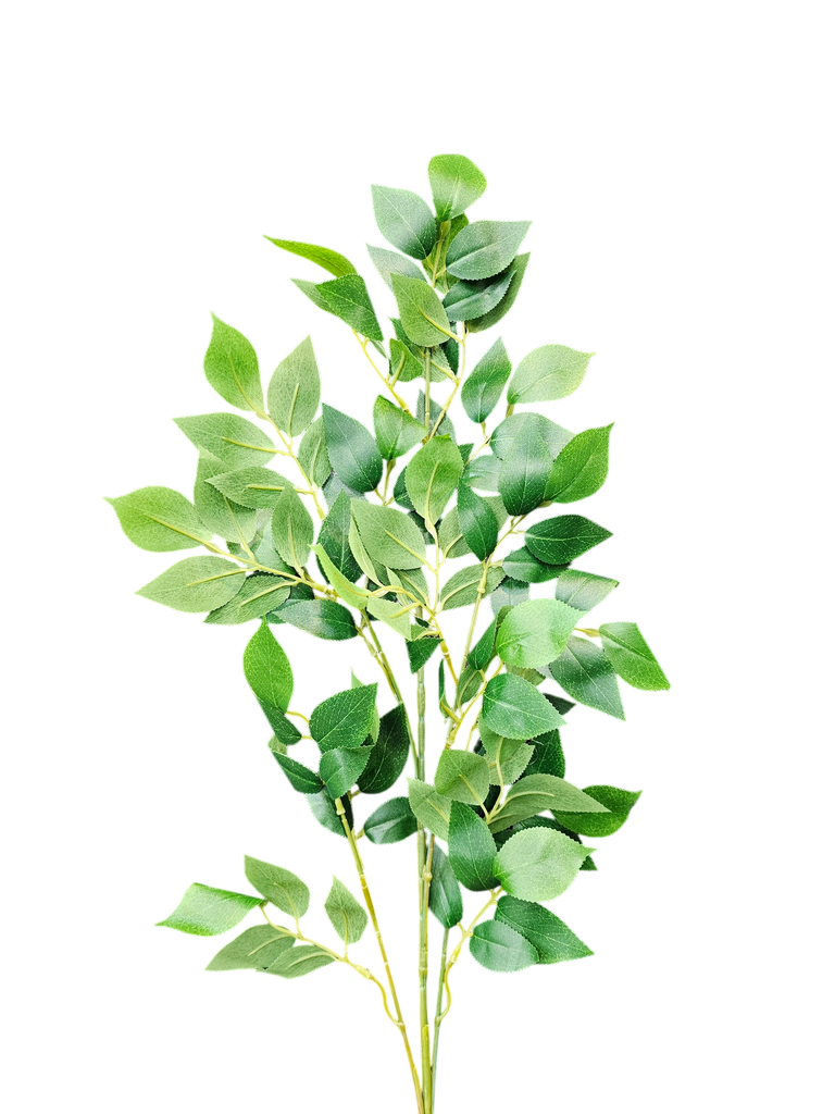 foliage branches