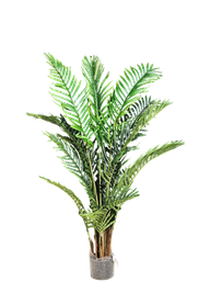 الشجرة 145 سم