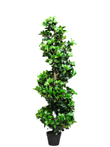Lorbier Tree 150 cm