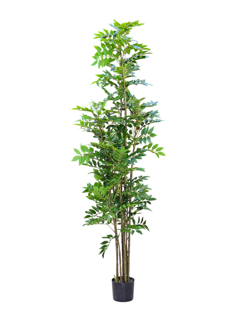 شجرة بطول 180 سم