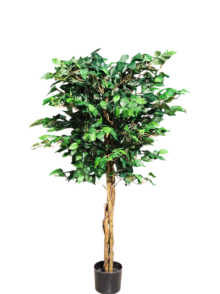 درەخت 180 سم