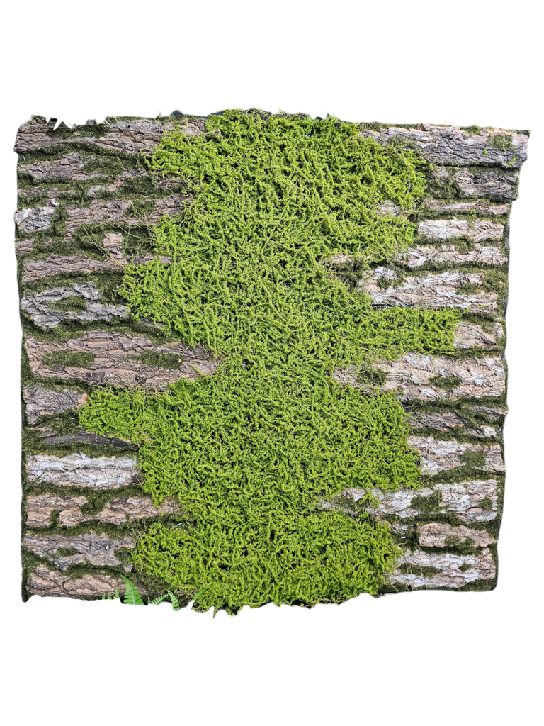 moss with tree trunk