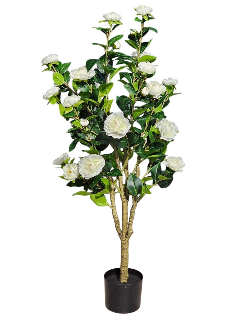 115 cm of flowering trees