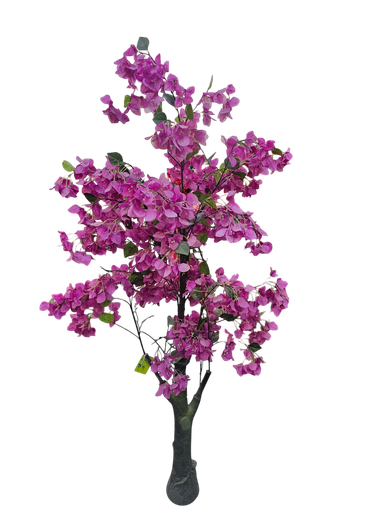 The Tree of  bougainvelia