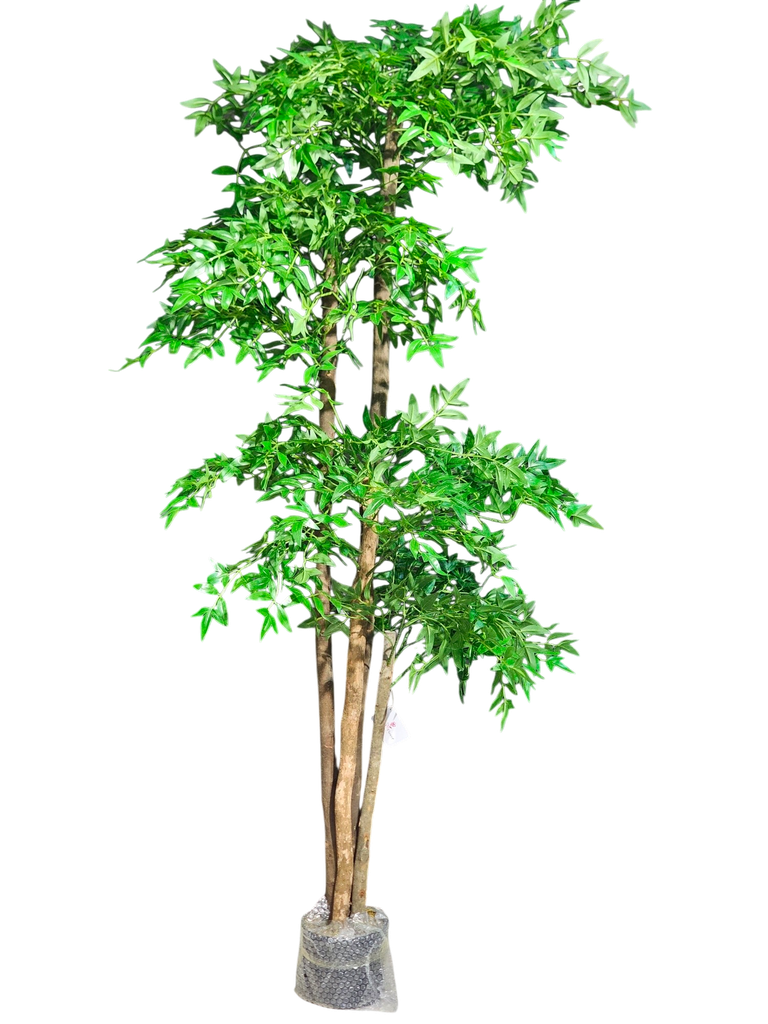 ناندينا، 190 سم