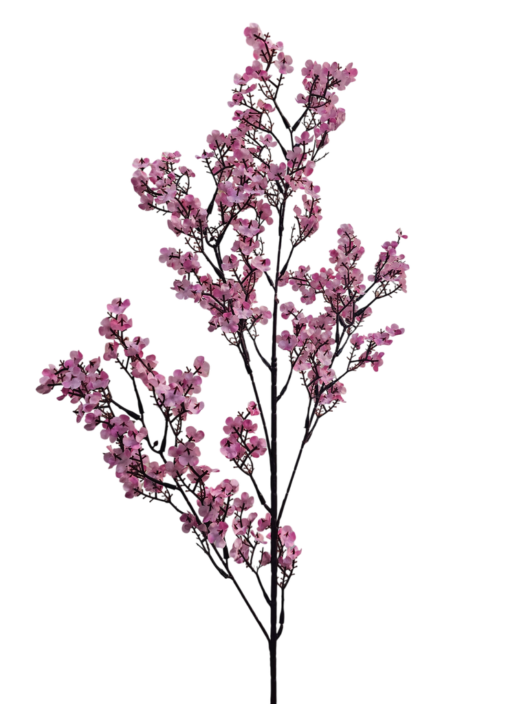 peach blossom branch