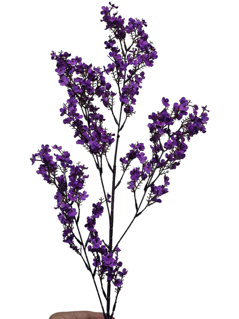 peach blossom branch