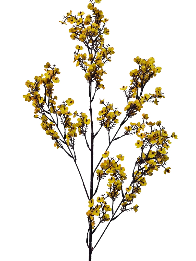 فرع زهرة الخوخ