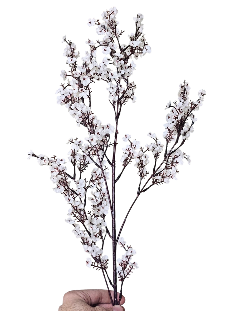 لقی خونچەی قۆخ