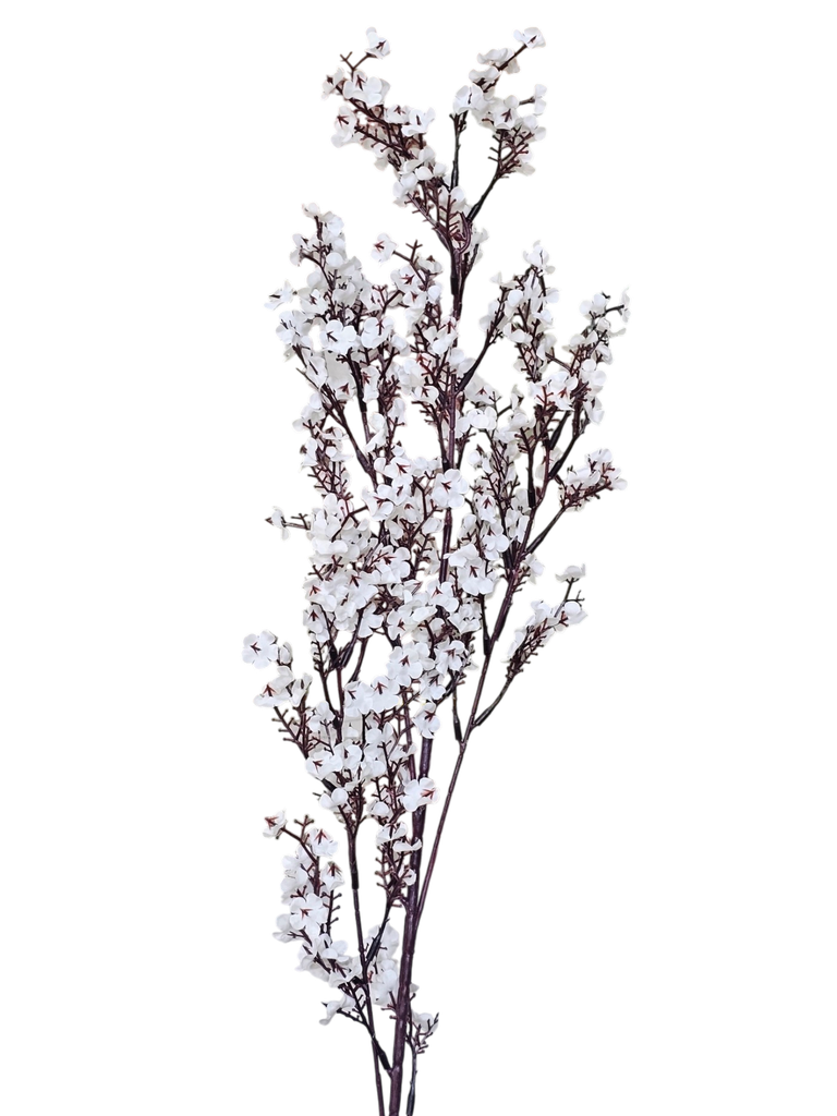 فرع زهرة الخوخ