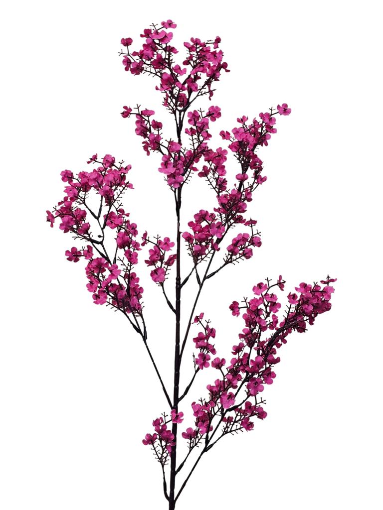 لقی خونچەی قۆخ