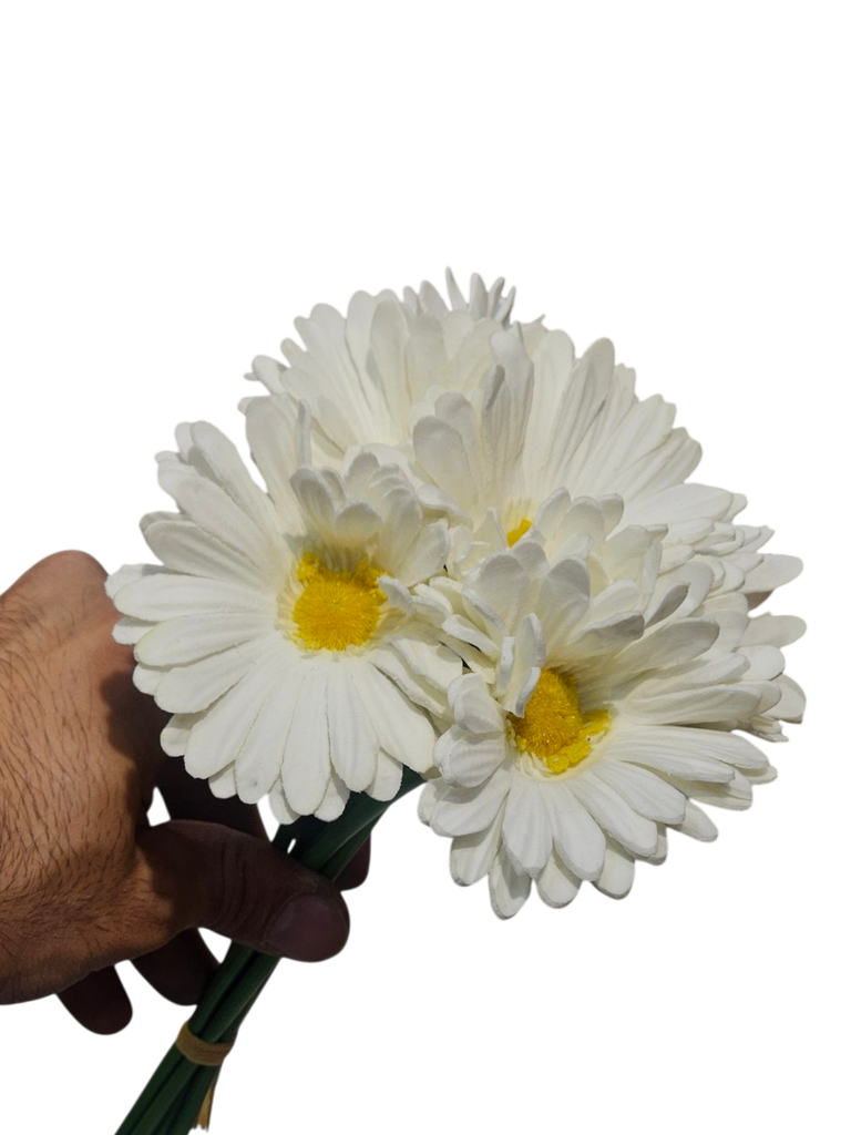 Daisy White