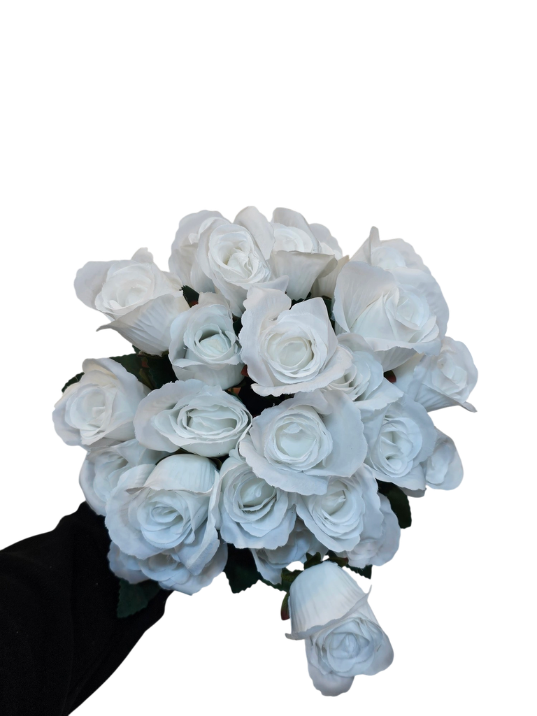 White Rose