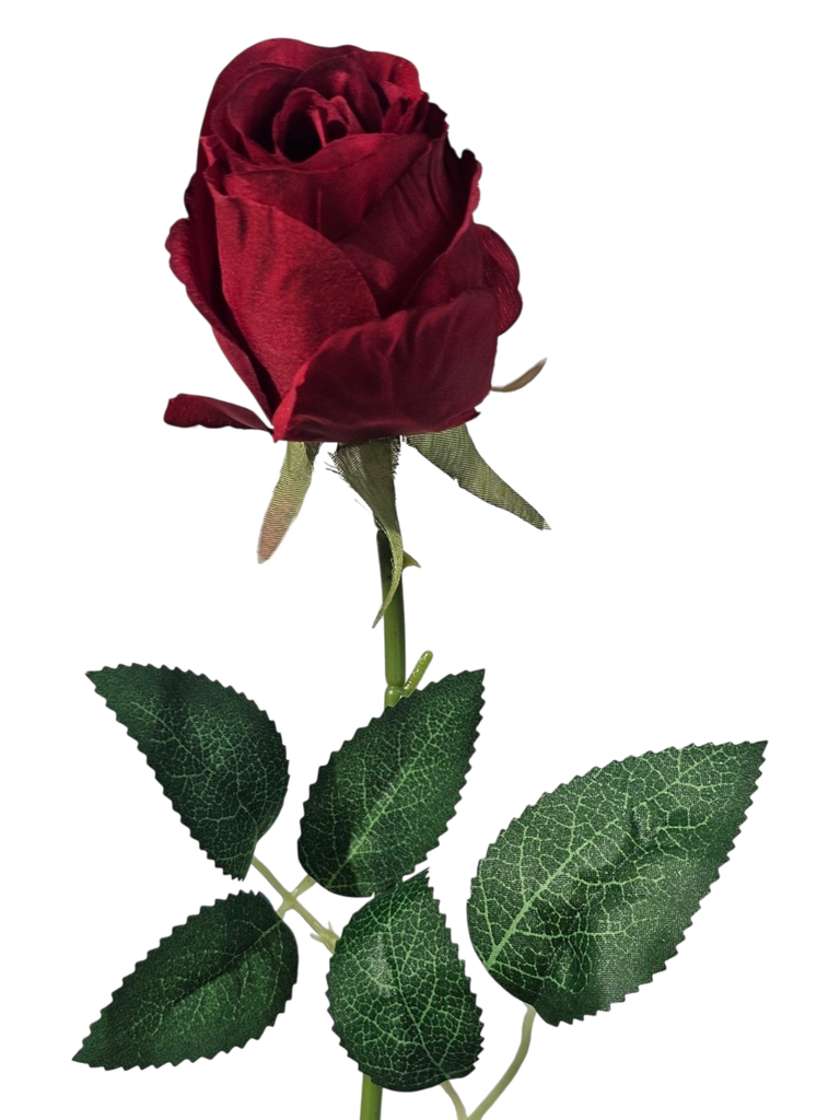 Red Rose