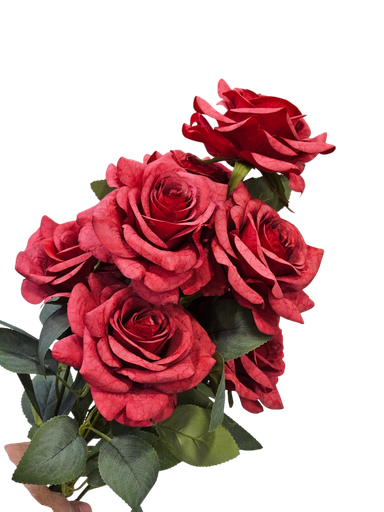 Red Rose