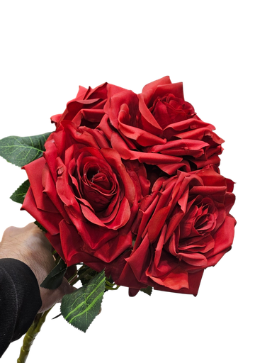 گوڵی سوور