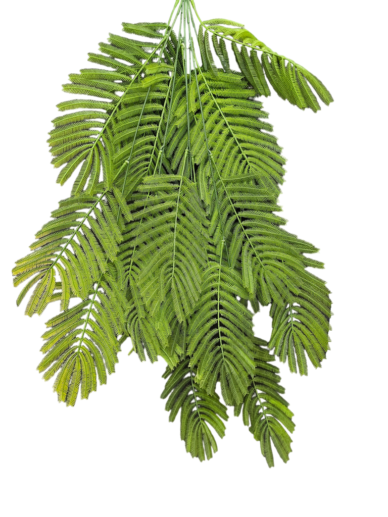 گەڵا هەڵواسراوەکان