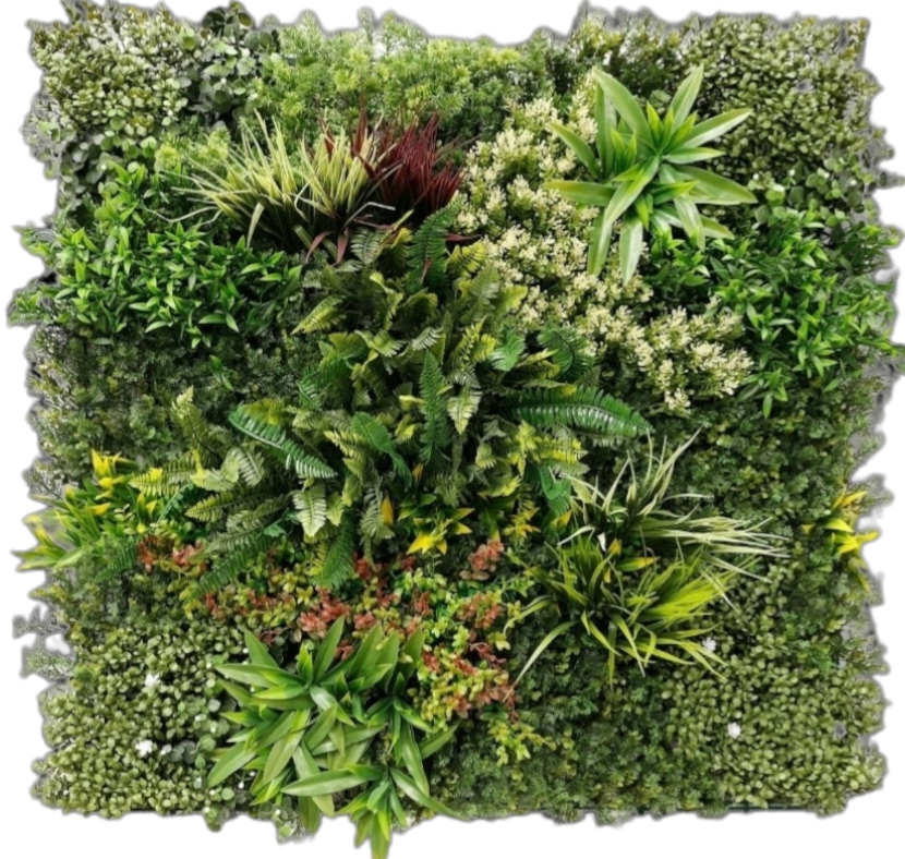 جدار أخضر خارجی