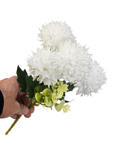 White carnation flower