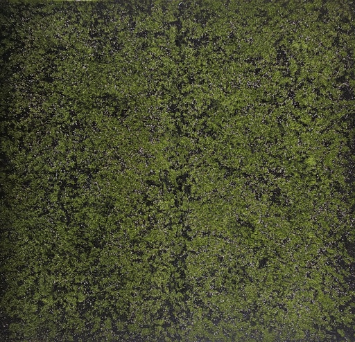 قەوزەی فەرش