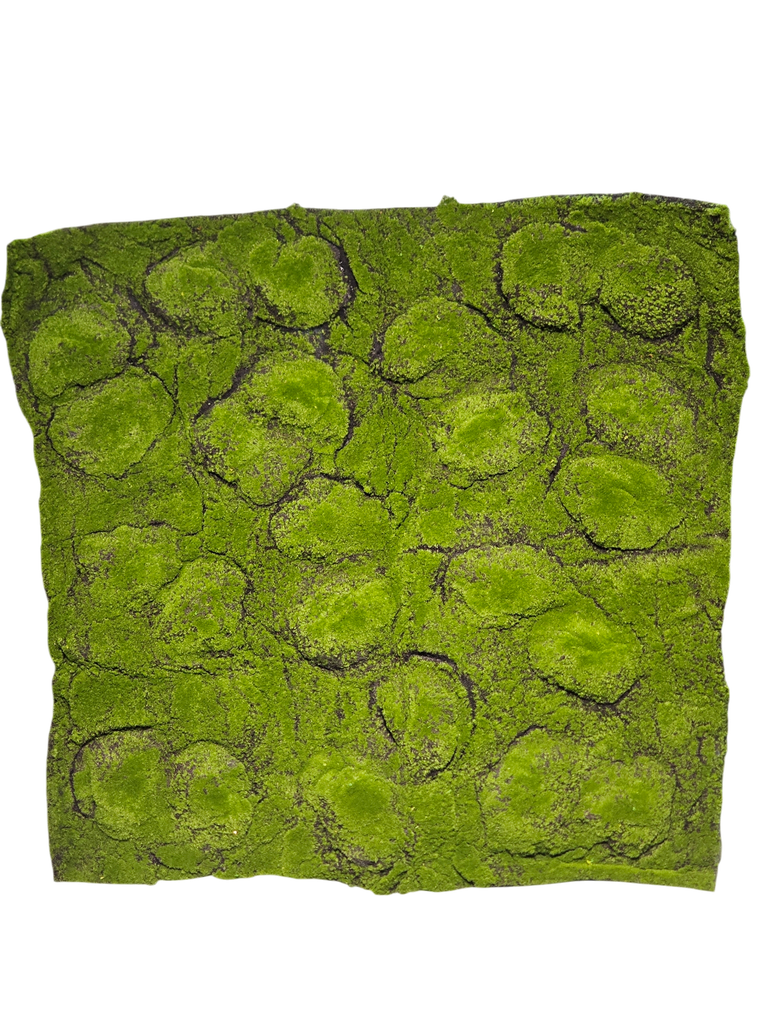 Carpet moss
