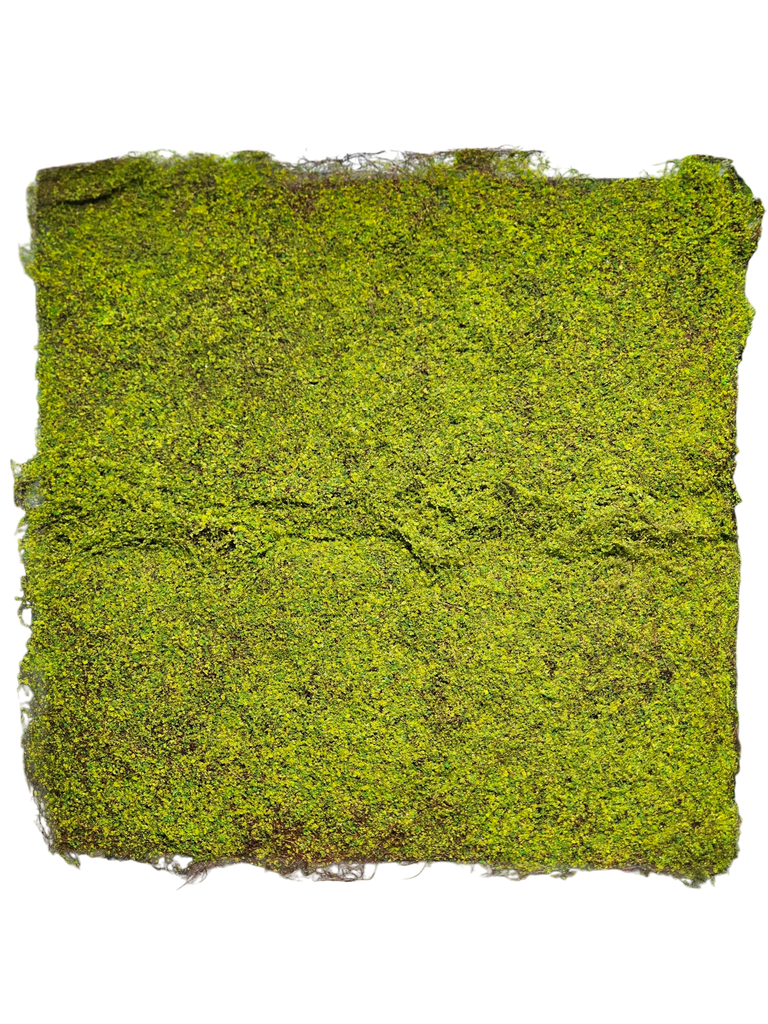 Carpet moss