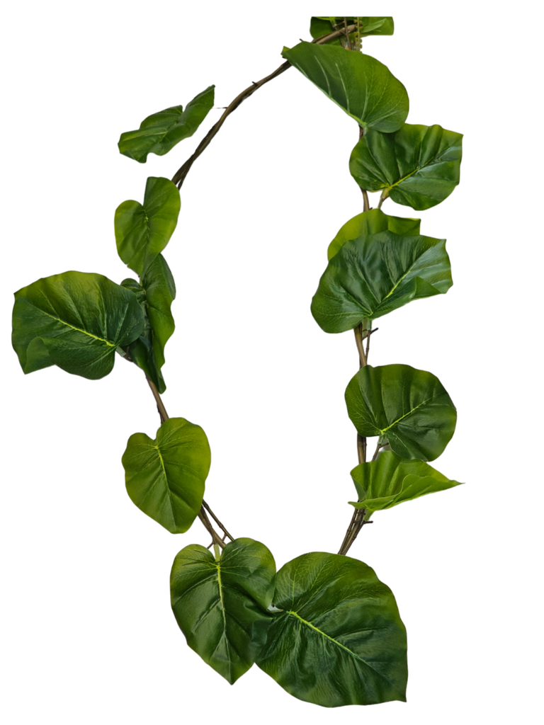 گەڵای گەورەی هەڵواسراوی