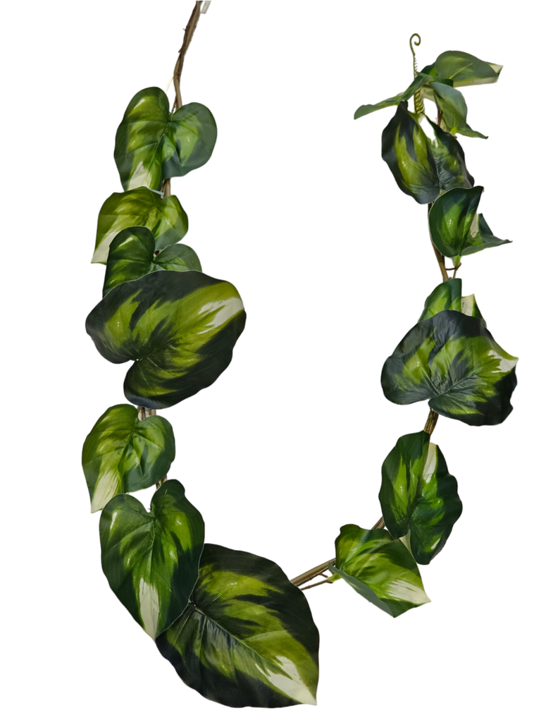 suspended large leafs